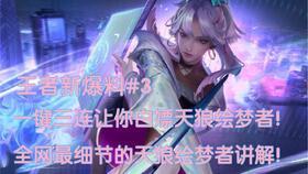 王者皮肤爆料最新讲解图,视觉盛宴与神秘元素交织